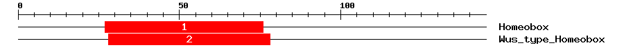 Signature Domain