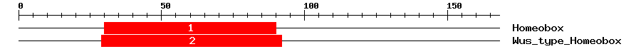 Signature Domain