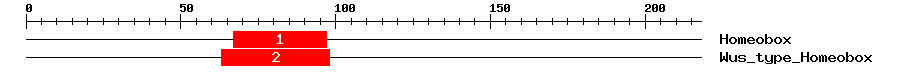 Signature Domain