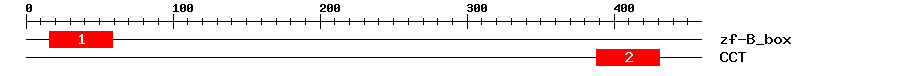 Signature Domain