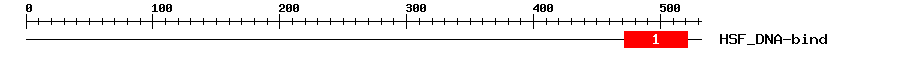 Signature Domain