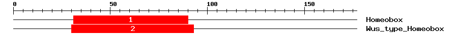 Signature Domain