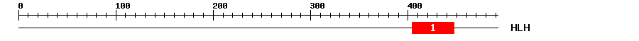 Signature Domain