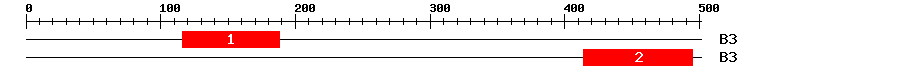 Signature Domain