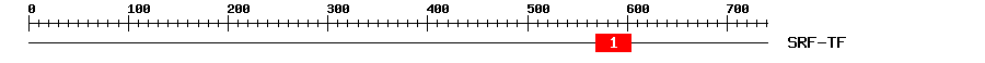 Signature Domain