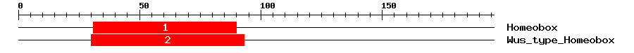 Signature Domain