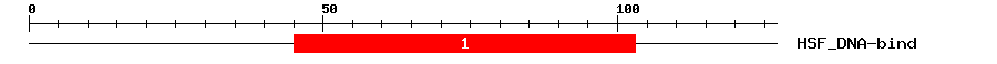 Signature Domain