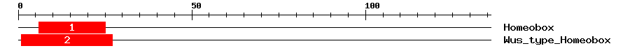Signature Domain