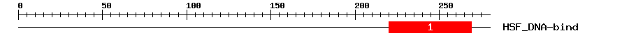Signature Domain