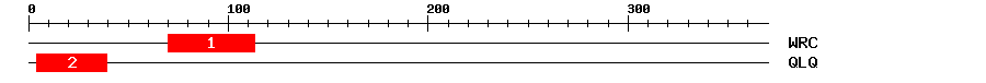 Signature Domain