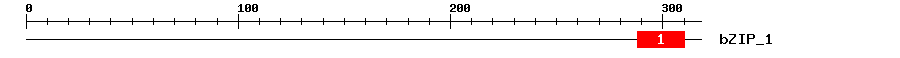 Signature Domain