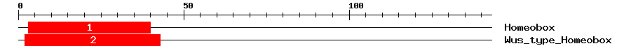Signature Domain