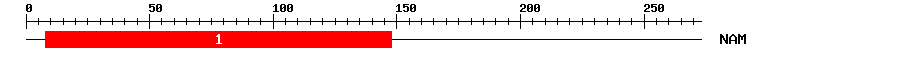 Signature Domain