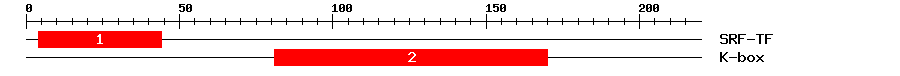 Signature Domain