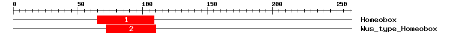 Signature Domain