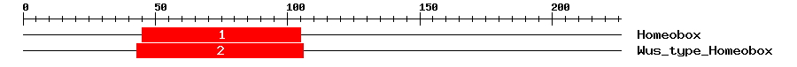 Signature Domain