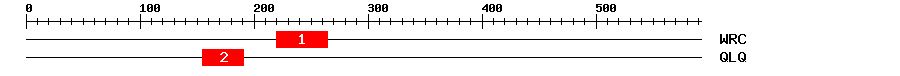 Signature Domain