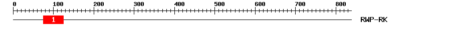 Signature Domain