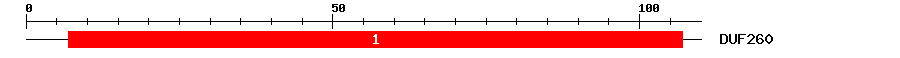 Signature Domain