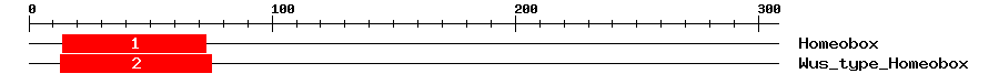 Signature Domain