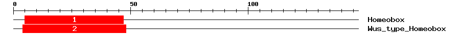 Signature Domain