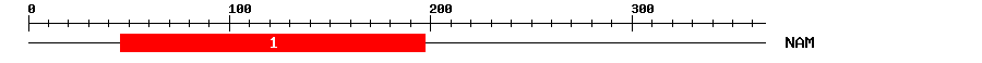 Signature Domain