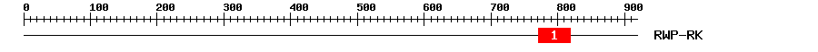 Signature Domain