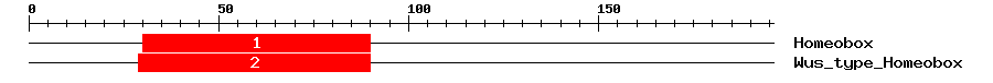 Signature Domain