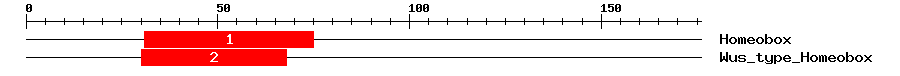 Signature Domain