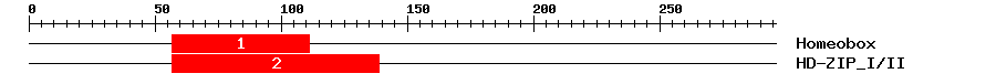 Signature Domain