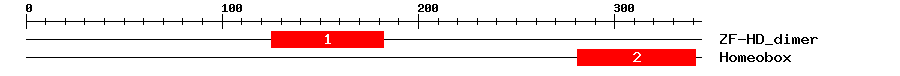 Signature Domain