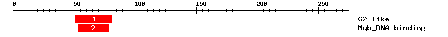 Signature Domain