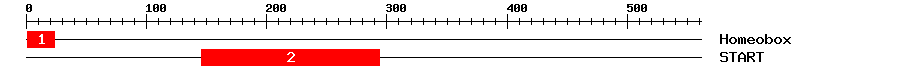 Signature Domain