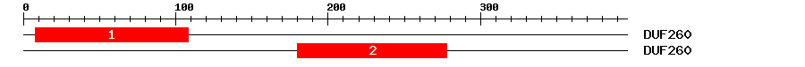 Signature Domain