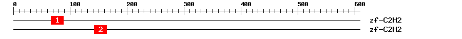 Signature Domain