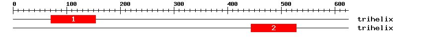 Signature Domain