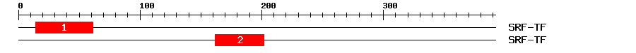 Signature Domain