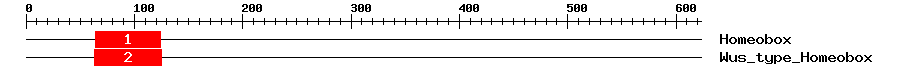 Signature Domain