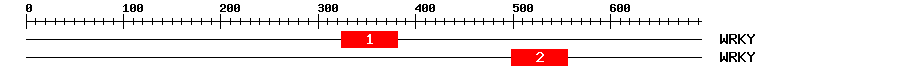 Signature Domain