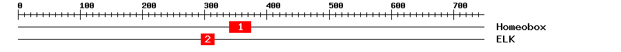Signature Domain