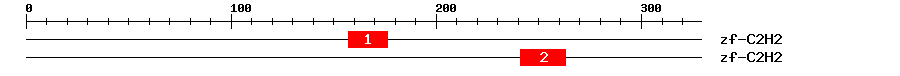Signature Domain