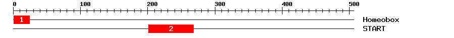 Signature Domain