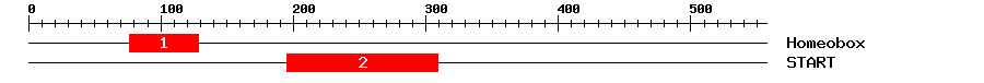 Signature Domain