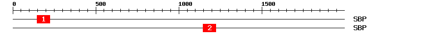 Signature Domain