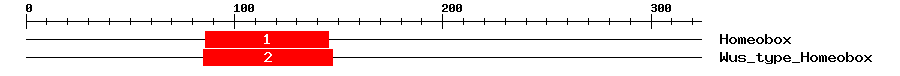 Signature Domain