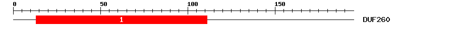 Signature Domain