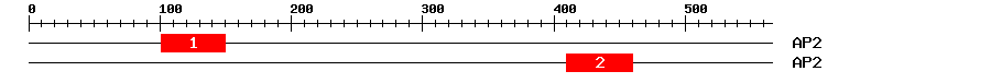 Signature Domain