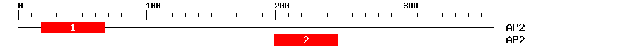 Signature Domain