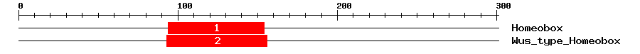 Signature Domain