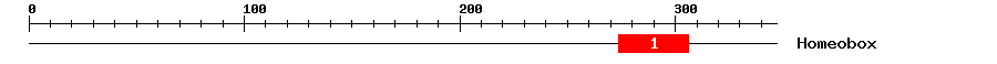 Signature Domain
